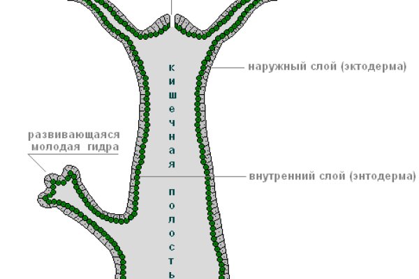 Кракен актуальная ссылка