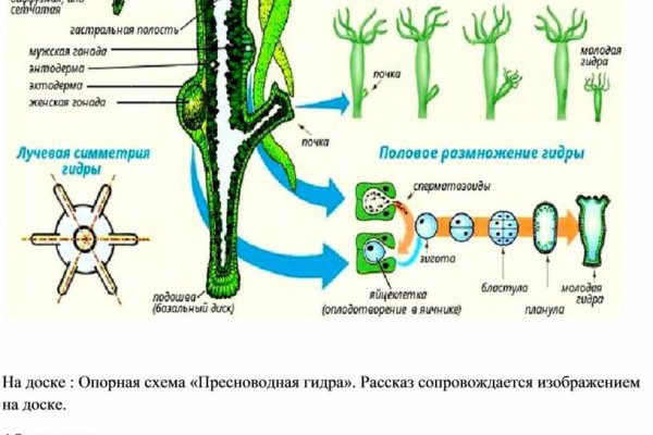 Украли аккаунт на кракене что делать